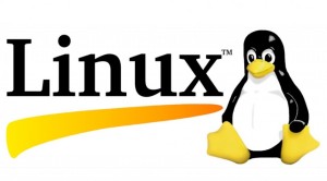 linux-logo1